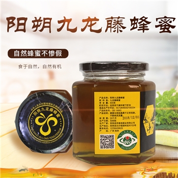 羿春族精品阳朔九龙藤成熟蜜500克