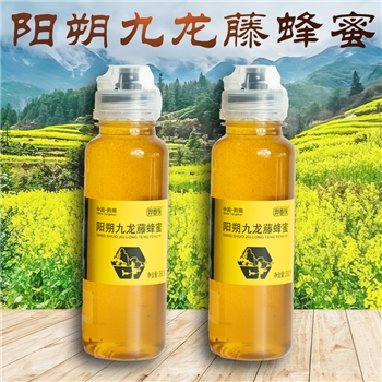 东方甄选推荐同款羿春族阳朔九龙藤蜂蜜便携装挤压瓶380克*2瓶
